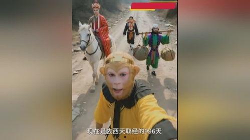 西游记改编搞笑版,猴哥猪弟的爆笑取经记
